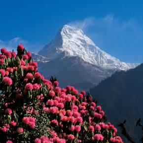 Große Annapurna-Runde