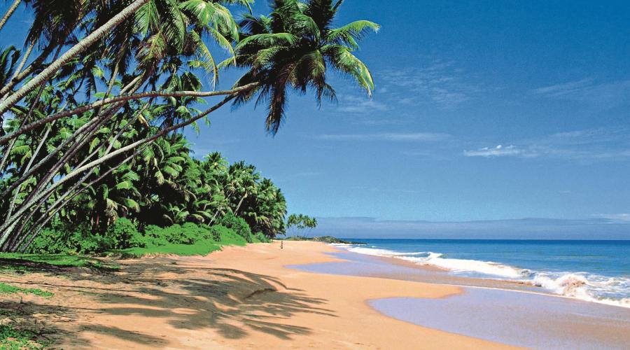 Sri Lanka: Höhepunkte mit Ostküste