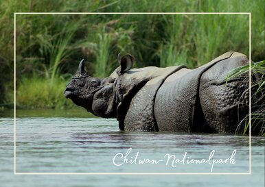 Postkarte Chitwan-Nationalpark