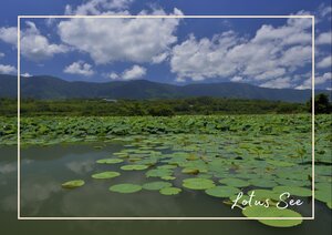 Länderinformationen Taiwan: Lotus See