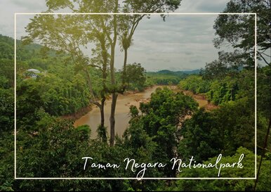 Postkarte Taman Negara Nationalpark