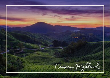 Postkarte Cameron Highlands