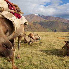 Auf Nomadenpfaden durch das Land des Dschingis Khan
