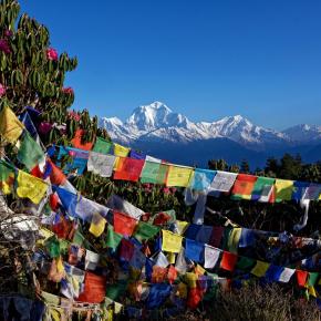 Farbenpracht im Himalaya