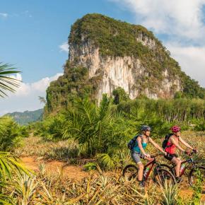 Südthailand – Exotik unter Palmen