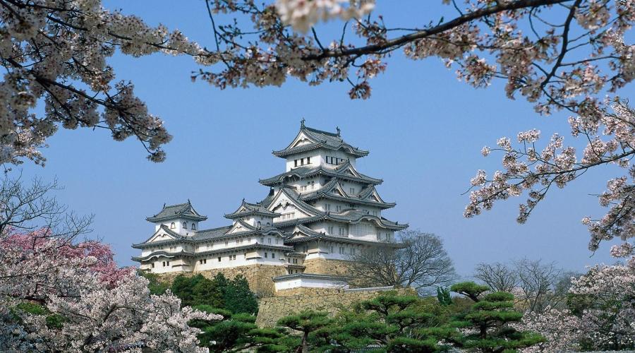 Burg Shirasagi-jo in Himeji zur Kirschblüte