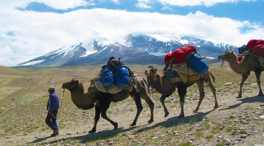 Der Materialtransport ins Basislager des Muztagh Ata erfolgt mit Kamelen oder per Jeep.