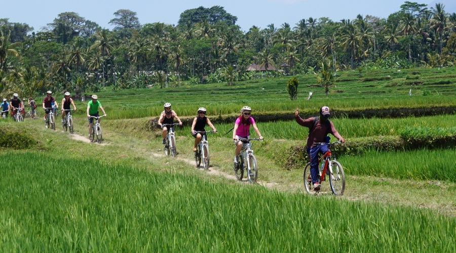 Die Umgebung Ubuds erleben Sie u. a. auf einer Fahrradtour und durchradeln saftig-grüne Reisfelder