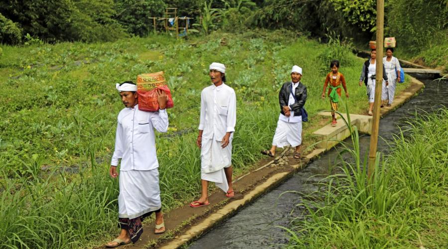 Durch Reisfelder auf dem Weg zum Tempel auf Bali