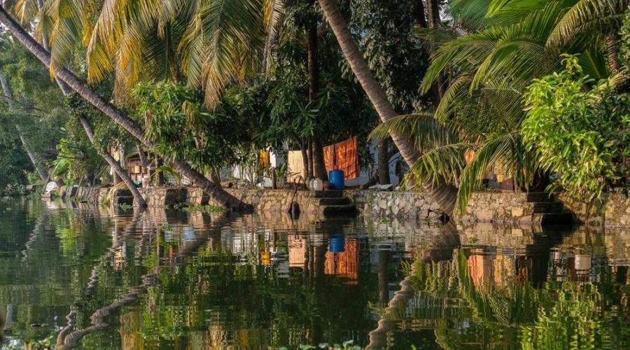 Idylle in den Backwaters - Sven Frormann