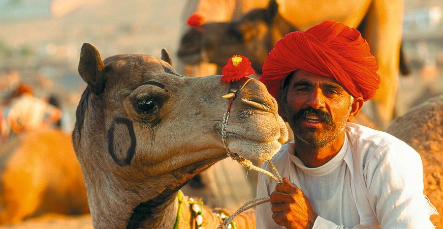 Indien: Höhepunkte Rajasthans