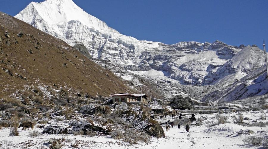 Jomolhari-Trekking vorbei am Jichu Drake (6990 m), dem schönsten Gipfel Bhutans