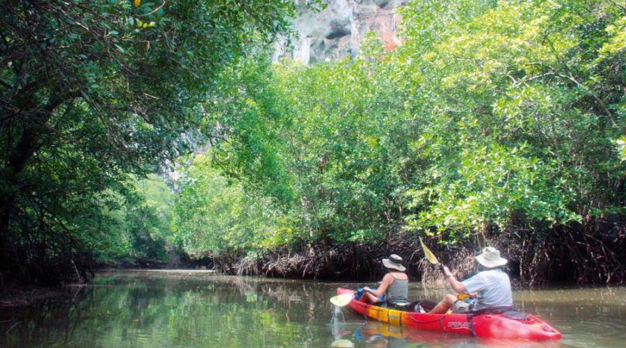 Kanuausflug durch Mangrovenwald - Ancient Thai Travel/Peter Kaudelka