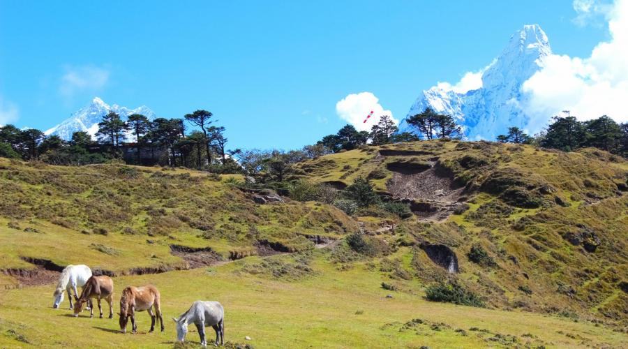 Landschaft oberhalb von Namche Bazar